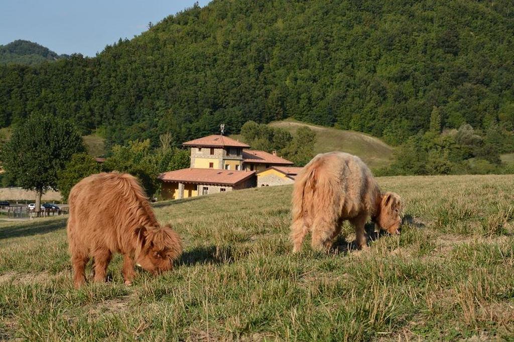 Вилла Agriturismo Ca Bella Сан-Себастьяно-Куроне Экстерьер фото